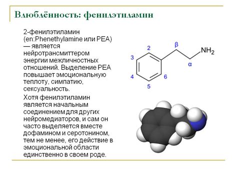 Фенилэтиламины - Химия