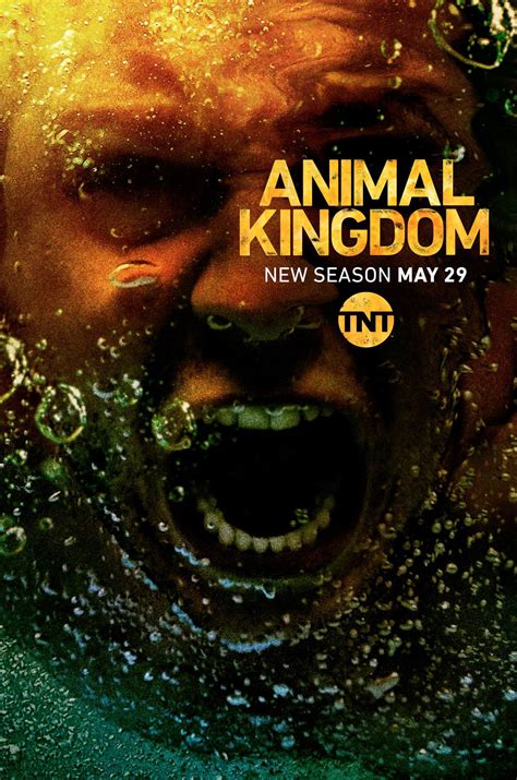 Animal Kingdom (#3 of 6): Mega Sized Movie Poster Image - IMP Awards