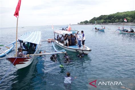 IKA Unair Dan POSSI Jatim Adopsi 7 700 Terumbu Karang Di Pasir Putih