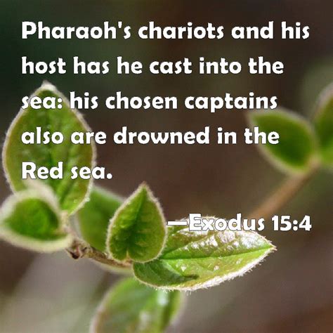 Exodus 154 Pharaohs Chariots And His Host Has He Cast Into The Sea His Chosen Captains Also