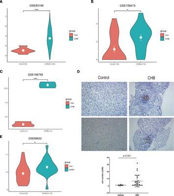 Frontiers LAMP3 Expression In The Liver Is Involved In T Cell