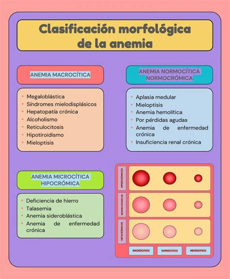 Clasificación Morfológica de la Anemia Javier Rios uDocz