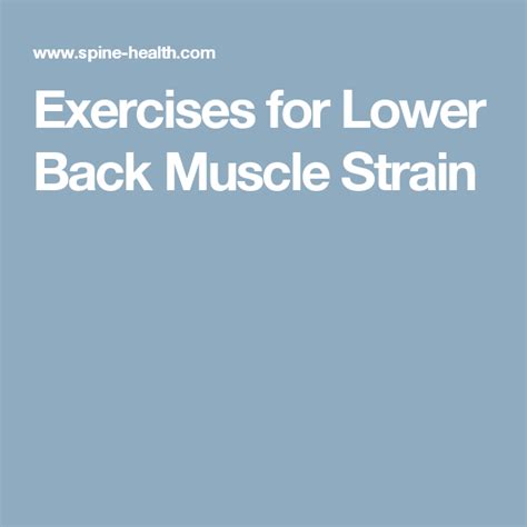 Exercises for Lower Back Muscle Strain Lower Back Muscles, Lower Back ...