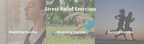 Only 3 Light Stress Relief Exercises To Kick Start Your Day - StressDean