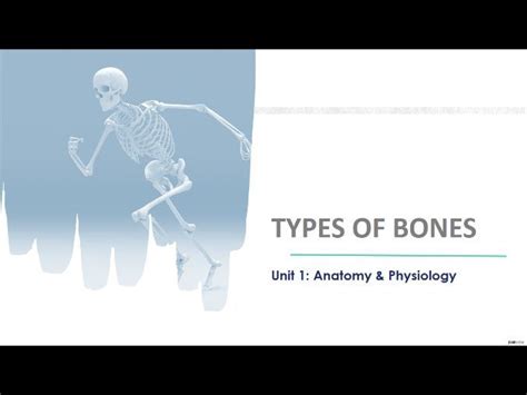 Types of bones | Teaching Resources