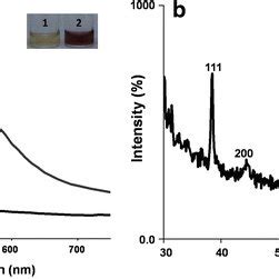 Characterization Of The Gold Nanoparticles Synthesized By CFS Of S