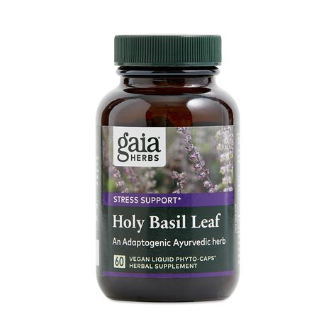 60 Ct Holy Basil By Gaia Herbs Thrive Market