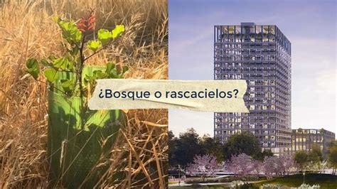 La Historia Del Bosque Urbano De M Laga Vivir Sin Pl Stico