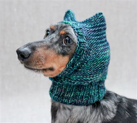 Knitting Pattern Mini Dachshund Dog Hat Small Dog Hat Dog Etsy Dog