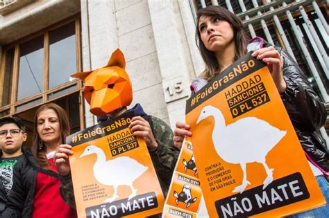 O Que é Foie Gras Como é Feito E Porque é Tão Polêmico