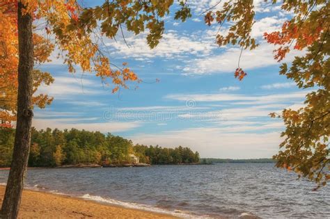 Autumn Sunny Day On The Lake Stock Photo Image Of Bright Park 104542266