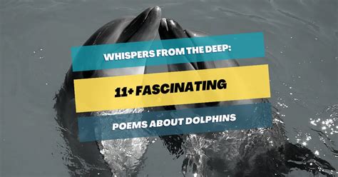 11 Fascinating Poems About Dolphins Pick Me Up Poetry