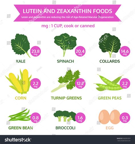 Lutein Zeaxanthin Foods Info Graphic Food Stock Vector (Royalty Free) 360301019 | Shutterstock