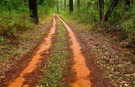 Fora Do Carro Da Estrada Na Trilha De Sujeira Imagem De Stock Imagem