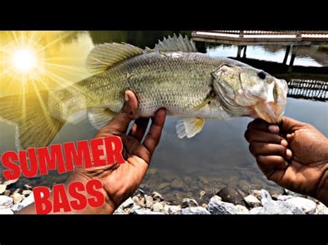 FISHING For BIG BASS In NEIGHBORHOOD PONDS EXTREME SUMMER HEAT Bass