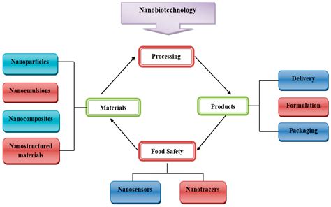 Nanotechnology In The Food Industry Encyclopedia MDPI