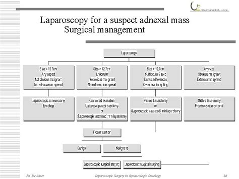 Laparoscopic Surgery In Gynaecologic Oncology The Suspect Adnexal