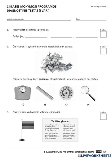pasaulio p activity  worksheets
