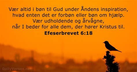 18 November 2023 Dagens Bibelvers Efeserbrevet 6 18 DailyVerses Net