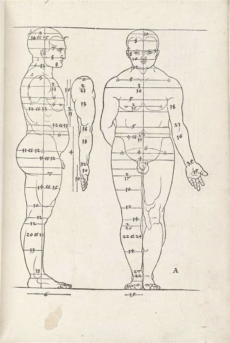 Historical Anatomies On The Web Albrecht Durer Home