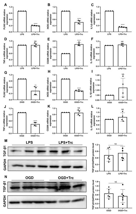 Inhibition Of Ld Formation With Triacsin C Sufficiently Reduces