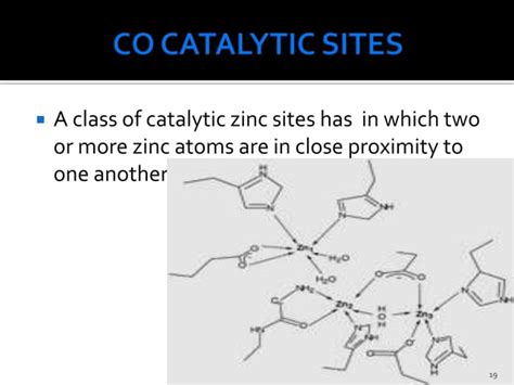 Metalloenzymes preethi | PPT