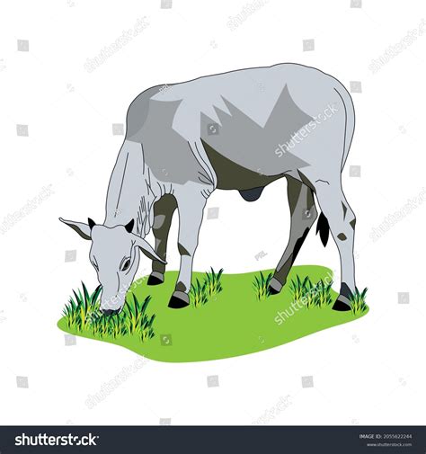 Cows Eating Grass Clipart