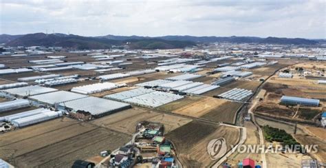 용인 반도체 클러스터 기반시설 조성 속도 특례시 건설·건축 특례 확대 파이낸셜뉴스