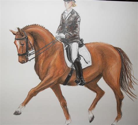 Drawing a Horse - Dressage by mImH1 on DeviantArt