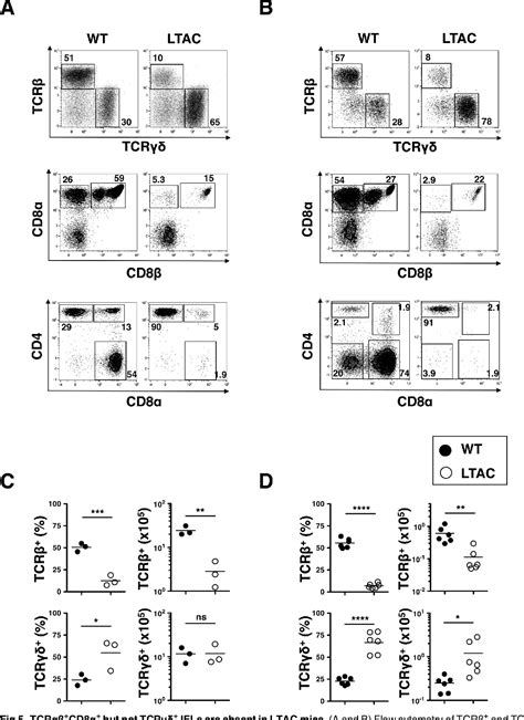 Figure 5 From Conditional Deletion Of Tak1 In T Cells Reveals A Pivotal