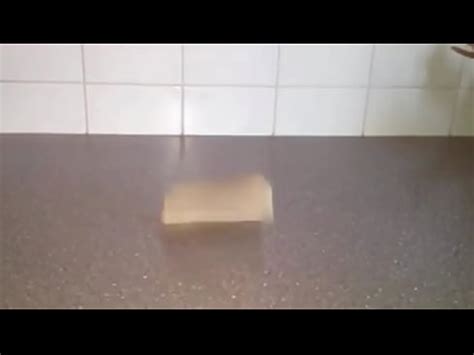 Pan Hace Gemir Como Puta Al Piso XVIDEOS