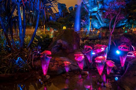 Pandora: The World of Avatar at night at Disney World’s Animal Kingdom ...