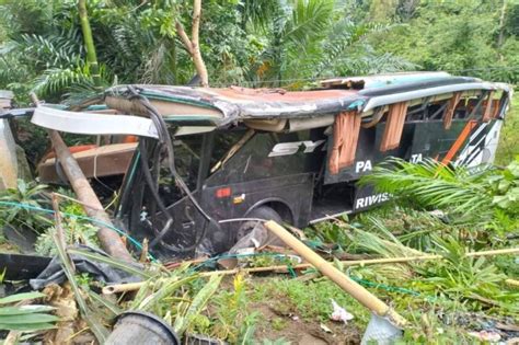 Bus Rombongan Siswa Di Pesisir Barat Masuk Jurang Di Tanggamus