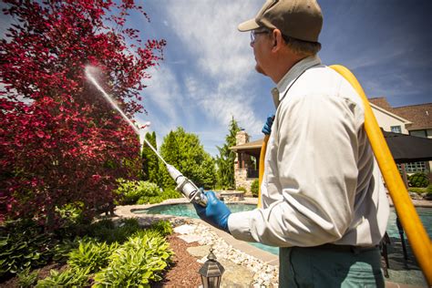 Tree Insect Disease Control Services Joshua Tree Experts