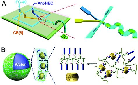 A Schematic Representation Of The Preparation Of Supramolecular