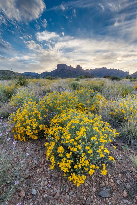 Hdr In Big Bend Sean Fitzgerald Photography