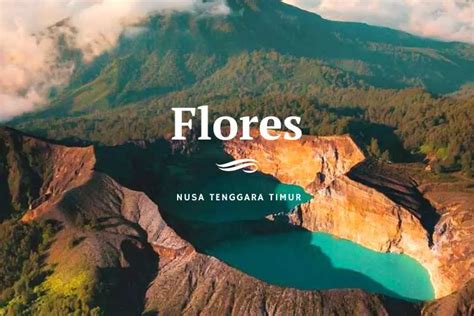 Menikmati Pesona Desa Adat Wae Rebo Di Pulau Flores Rekomendasi