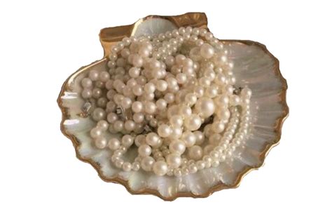 Pearls In Clam Holder Png Mermaid Aesthetic App Icon Png Icons