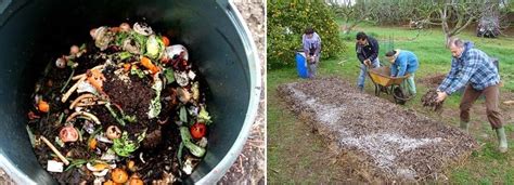 sencillos pasos  fabricar tu propio compost guia  plantar