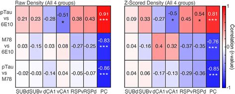 Frontiers Tau Pathology Profile Across A Parietal Hippocampal Brain