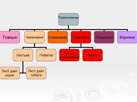 Выращивание ягодных и плодовых растений. Размножение - презентация онлайн