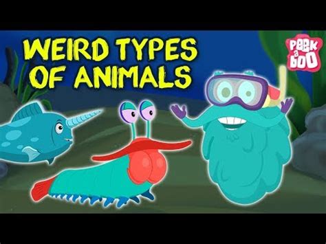 Weird Animals In The World - The Dr. Binocs Show | Best Learning Videos ...