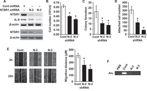 Differential Expression And Tumorigenic Function Of Neurotensin