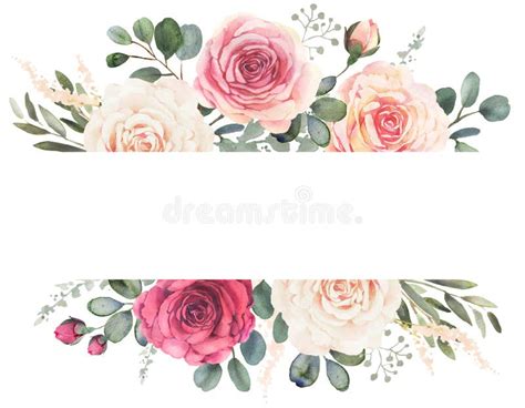 Cadre Floral D Aquarelle Avec Les Roses Et L Eucalyptus Illustration