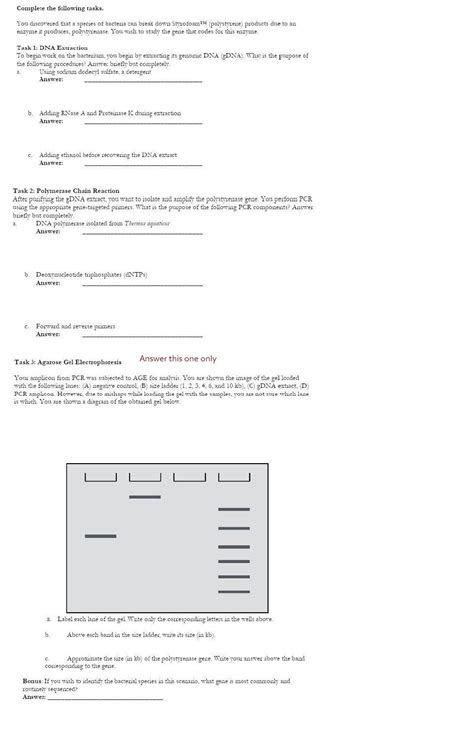 Solved Complete the following tasks. You discovered that a | Chegg.com 