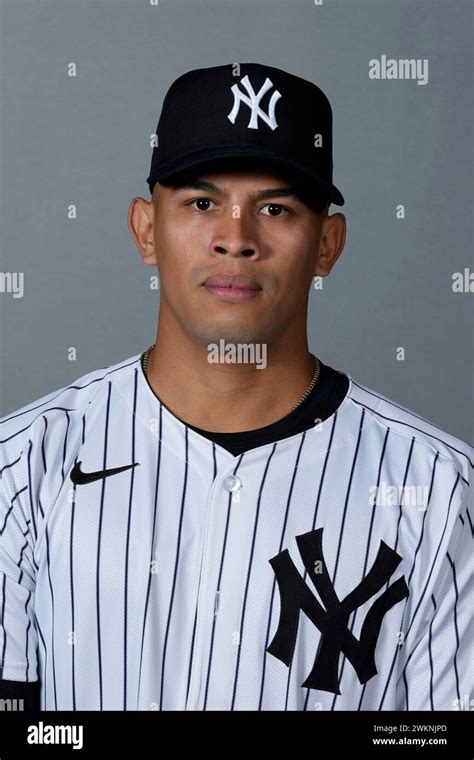 This Is A Photo Of Jonathan Loaisiga Of The New York Yankees