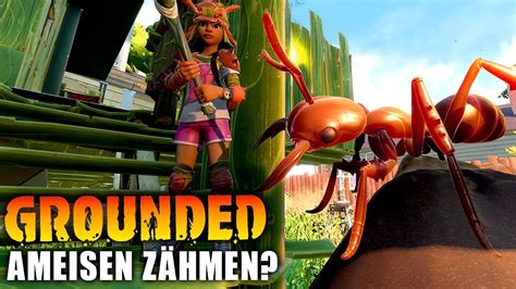 Grounded Ameisen zähmen 016 Gameplay Deutsch YouTube