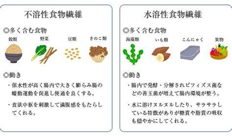 受験生の食事〜食物繊維の重要性〜 中学受験ママのお悩みあれこれ プロ家庭教師の総合進学セミナー