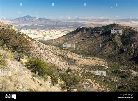 The Sonoran Desert Grasslands Below The Foothills Of The Southern