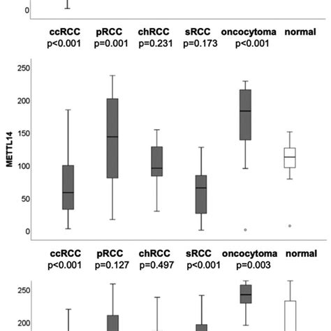 Protein Expression Of M⁶a‐methyltransferases In Renal Cell Carcinoma Download Scientific